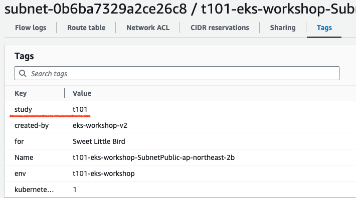 VPC 배포 결과 (subnet 태그 정보)